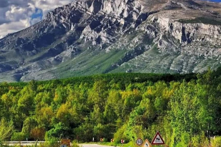 Slika /slike/Dinara 1.png